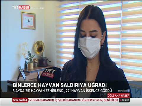 Av. Elvan Kılıç | Trt Haber | Hayvan Hakları